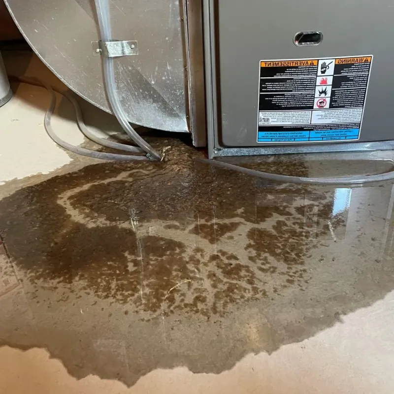 Pipe Burst and Leak Restoration in West Lake Sammamish, WA